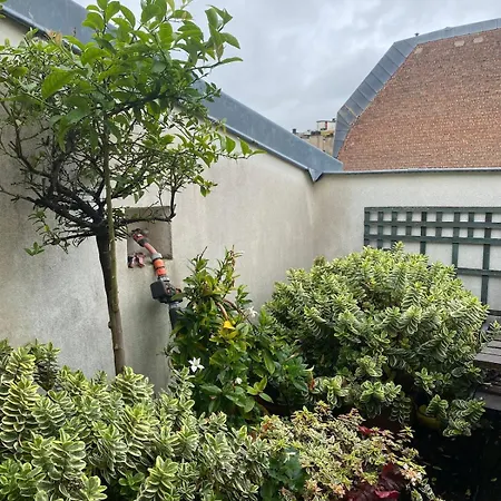 Magnificent Duplex With Terrace Near St Germain Apartment *
